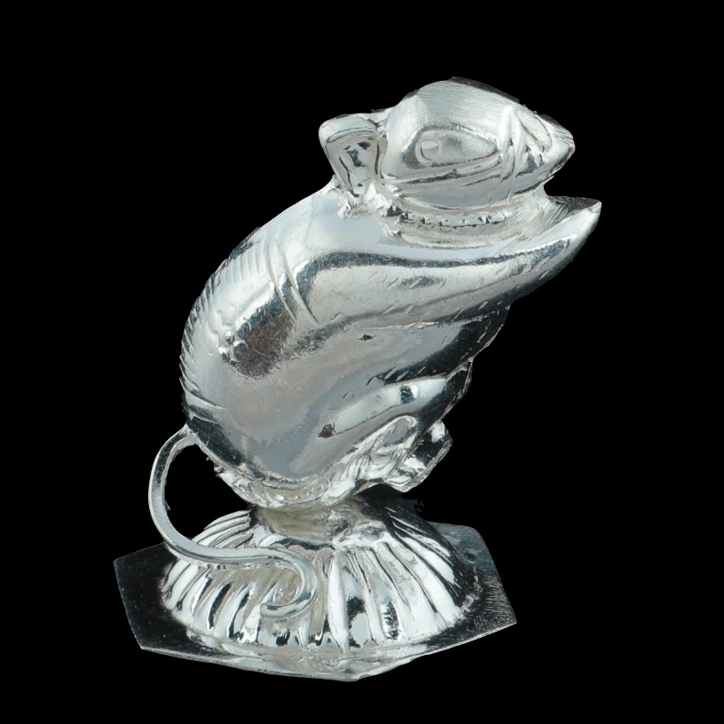 GUINEA SILVER RAT
